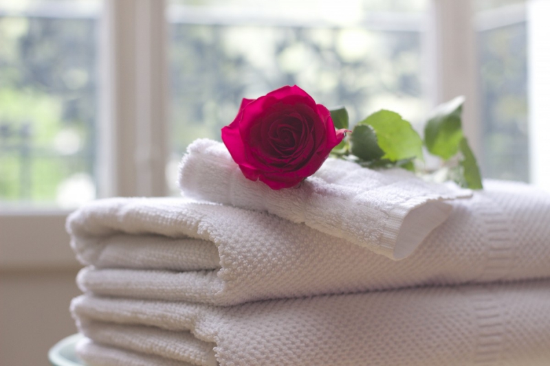 chambre-hote-ST PAUL EN FORET-min_towel_rose_clean_care_salon_spa_white_bath-731641